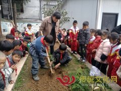 纳雍县勺窝镇中心学校开展植树活动