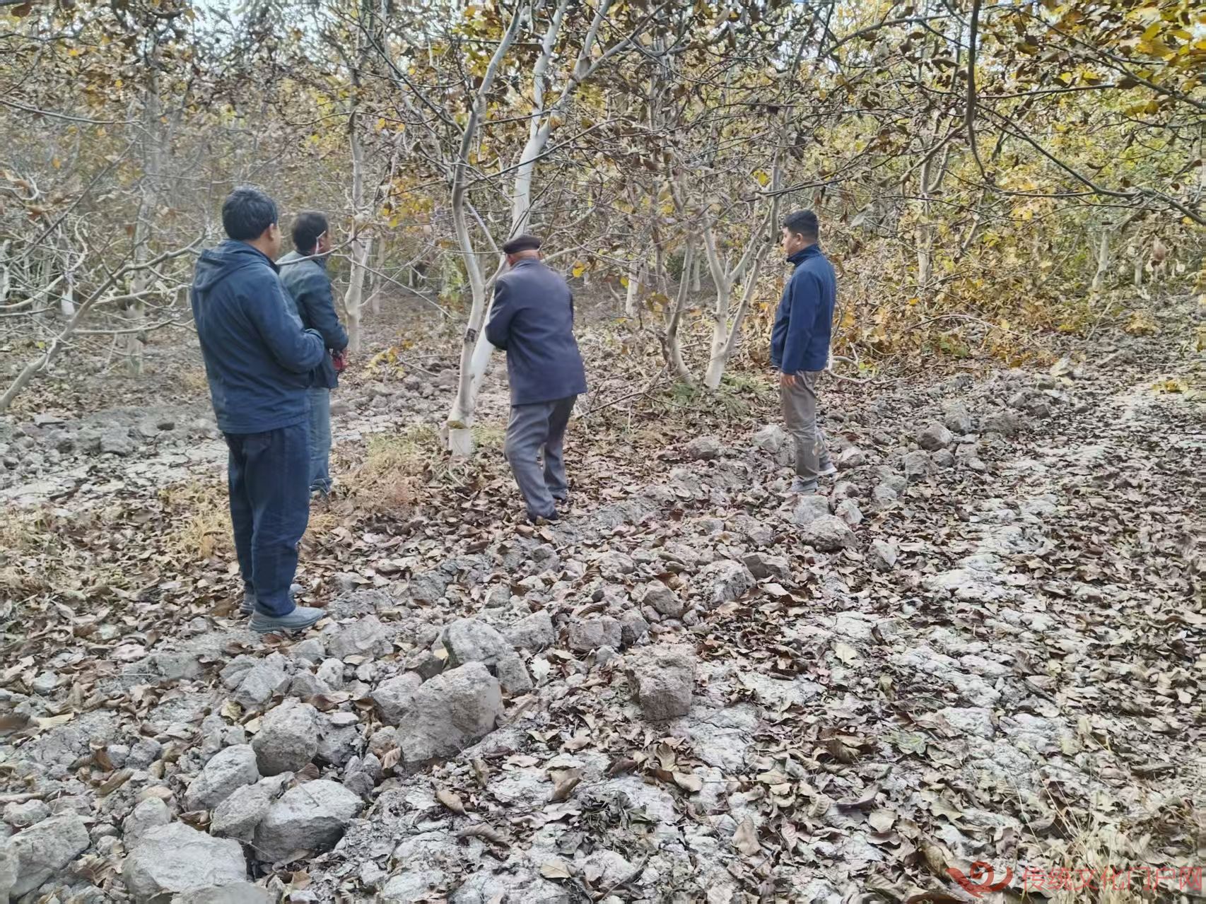 温宿县吐木秀克镇帕万拉村：干群携手修果树 帮扶暖心促增收